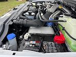 New 2026 Ford F-350 XL Crew Cab 4WD SRW Pickup for sale #TEC32987 - photo 40