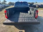 New 2026 Ford F-250 Platinum Crew Cab for sale #TED55499 - photo 24