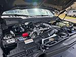 2026 Ford F-350 Crew Cab SRW 4WD Pickup for sale #TED80686 - photo 31