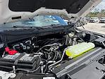2026 Ford F-150 SuperCrew Cab 4WD Pickup for sale #TKD08628 - photo 28