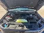 2026 Ford F-150 SuperCrew Cab 4WD Pickup for sale #TKD09323 - photo 28