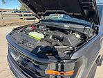 New 2026 Ford F-150 XLT SuperCrew Cab for sale #TKD15832 - photo 26