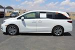 2025 Honda Odyssey FWD Minivan for sale #1310A - photo 13