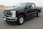 2024 Ford F-250 Crew Cab 4WD Pickup for sale #1338 - photo 8