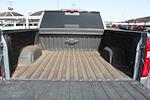 2023 Chevrolet Silverado 1500 Crew Cab 4WD Pickup for sale #268462A - photo 6