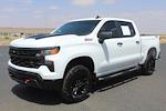 2024 Chevrolet Silverado 1500 Crew Cab 4WD Pickup for sale #272388A - photo 8