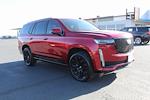 2021 Cadillac Escalade 4WD SUV for sale #303401A - photo 1