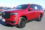 2021 Cadillac Escalade 4WD SUV for sale #303401A - photo 11