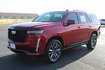 2022 Cadillac Escalade 4WD SUV for sale #332882A - photo 14