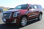 2018 Cadillac Escalade 4x4 SUV for sale #332882B - photo 11