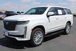 2024 Cadillac Escalade AWD SUV for sale #391266A - photo 11