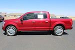 2019 Ford F-150 SuperCrew Cab 4x2 Pickup for sale #141691A - photo 8
