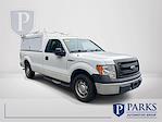 2013 Ford F-150 Regular Cab 4x2 Pickup for sale #0C5950 - photo 3