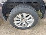 2023 Chevrolet Silverado 1500 Crew Cab RWD Pickup for sale #112848A - photo 6