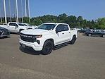 2023 Chevrolet Silverado 1500 Crew Cab 4x4 Pickup for sale #204481A - photo 11