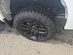 2024 Chevrolet Silverado 1500 Crew Cab 4x4 Pickup for sale #3C5848 - photo 14
