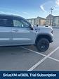 2025 GMC Sierra 1500 Crew Cab 4WD Pickup for sale #7C6318 - photo 9