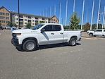 2021 Chevrolet Silverado 1500 Double Cab 4x2 Pickup for sale #8C5907 - photo 10