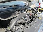 Used 2019 Ford Transit 250 Refrigerated Body for sale #10703 - photo 30