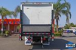 2019 Hino 338 Single Cab DRW 4x2, Box Truck for sale #41874 - photo 8