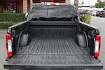2018 Ford F-350 Crew Cab SRW 4x4 Pickup for sale #50826 - photo 9