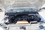 2019 Ford F-150 Regular Cab 4x2 Pickup for sale #54030 - photo 11