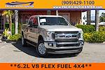 2017 Ford F-250 Crew Cab 4x4 Pickup for sale #56358 - photo 1