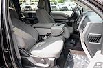 2019 Ford F-150 SuperCrew Cab 4x2 Pickup for sale #56755 - photo 41