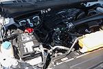 2019 Ford F-150 Regular Cab 4x2 Pickup for sale #56781 - photo 11
