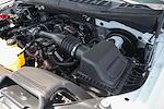 2019 Ford F-150 Regular Cab 4x2 Pickup for sale #56781 - photo 12