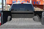 2019 Ford F-250 Crew Cab 4x4 Pickup for sale #56797 - photo 10