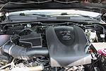 2019 Toyota Tacoma Double Cab 4x2 Pickup for sale #56847 - photo 11