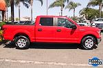 2020 Ford F-150 SuperCrew Cab 4x2 Pickup for sale #56942 - photo 10