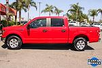 2020 Ford F-150 SuperCrew Cab 4x2 Pickup for sale #56942 - photo 6