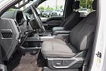 2019 Ford F-150 SuperCrew Cab 4x2 Pickup for sale #56971 - photo 15