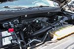 2019 Ford F-150 SuperCrew Cab 4x2 Pickup for sale #57525A - photo 11