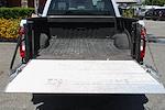 2017 Ford F-250 Crew Cab 4x2 Pickup for sale #57629 - photo 10