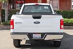 2017 Ford F-150 Regular Cab 4x2 Pickup for sale #57710 - photo 8