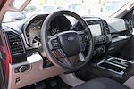 2019 Ford F-150 SuperCrew Cab 4x2 Pickup for sale #57738 - photo 16