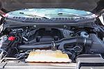 2018 Ford F-150 SuperCrew Cab 4x2 Pickup for sale #57824 - photo 12
