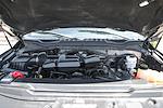 2016 Ford F-250 Crew Cab 4x4 Pickup for sale #57827A - photo 13