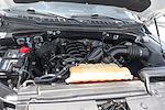 2019 Ford F-150 SuperCrew Cab 4x2 Pickup for sale #57831 - photo 11