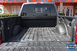 2020 Ford F-250 Crew Cab 4x4 Pickup for sale #57925 - photo 9