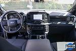 2022 Ford F-150 SuperCrew Cab 4x2 Pickup for sale #57941 - photo 19