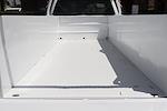 2020 Ford F-350 Regular Cab DRW 4x2 Cab Chassis for sale #58012 - photo 9