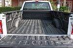 2019 Ford F-150 Regular Cab 4x2 Pickup for sale #58099 - photo 10