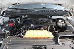 2019 Ford F-150 Regular Cab 4x2 Pickup for sale #58099 - photo 11