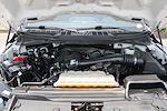 2021 Ford F-150 Regular Cab 4x2 Pickup for sale #58168 - photo 11