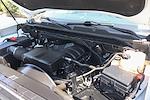 2020 Chevrolet Silverado 2500 Crew Cab SRW 4x4 Pickup for sale #58173 - photo 12