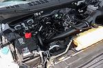 2019 Ford F-150 Regular Cab 4x4 Pickup for sale #58234 - photo 11